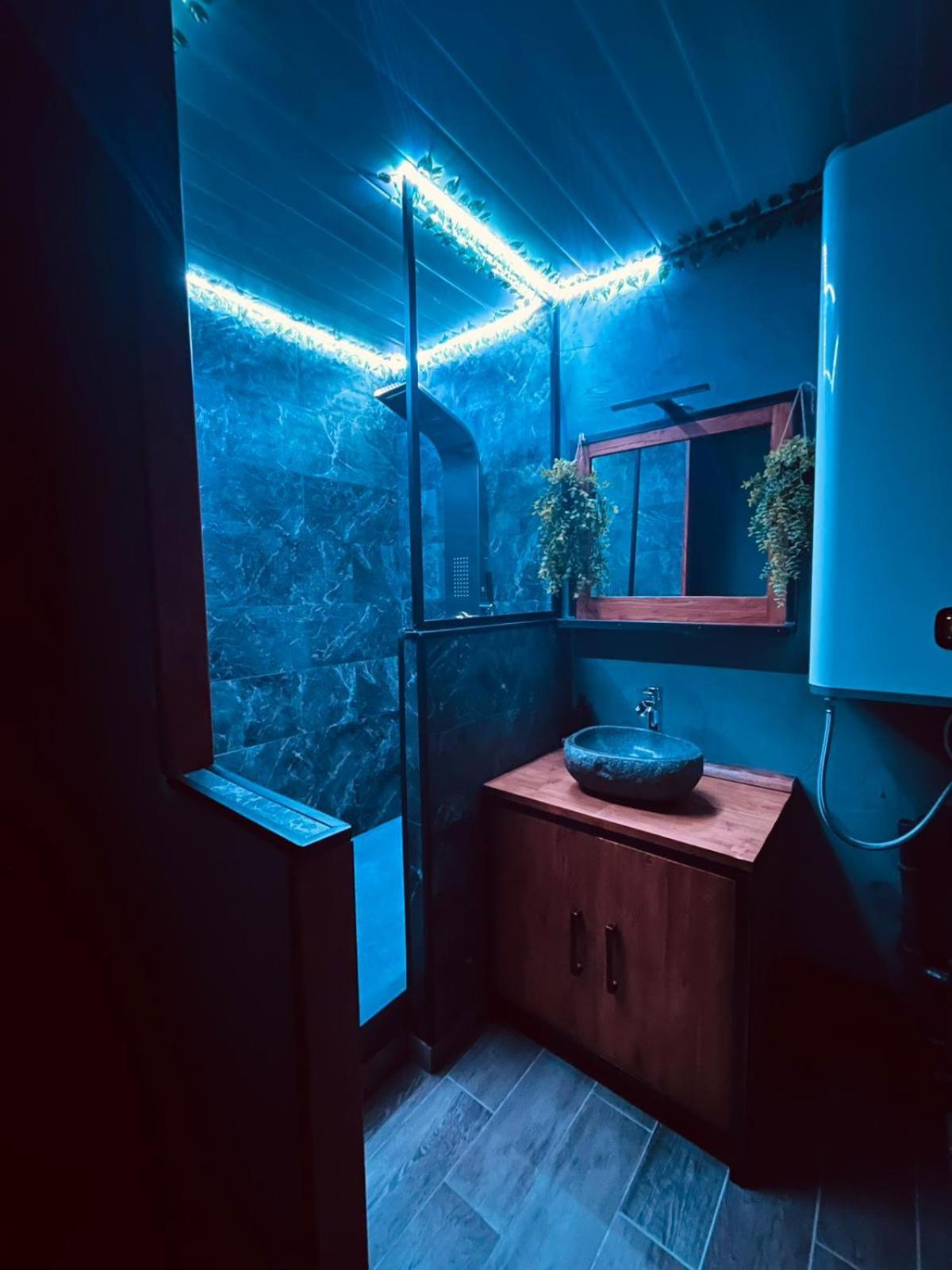 Oasis Tropical & Sauna Сент-Илер-де-Рие Екстериор снимка