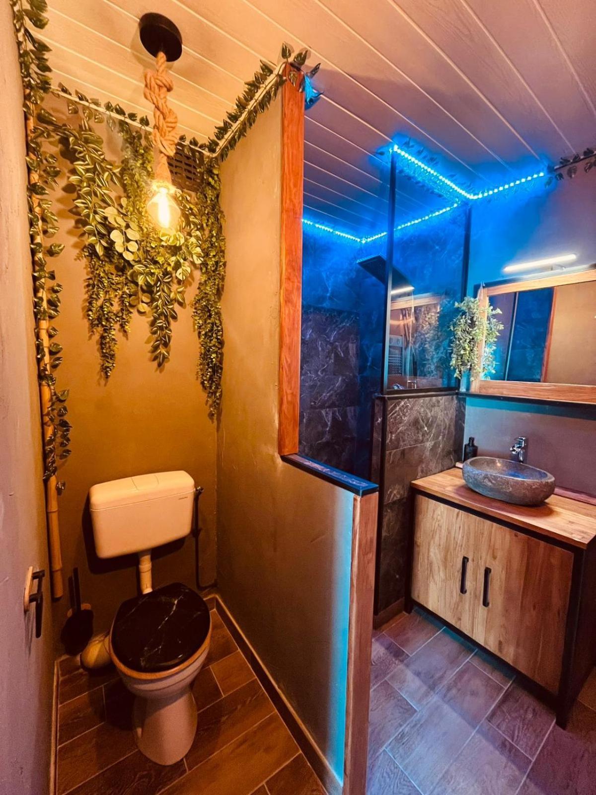 Oasis Tropical & Sauna Сент-Илер-де-Рие Екстериор снимка
